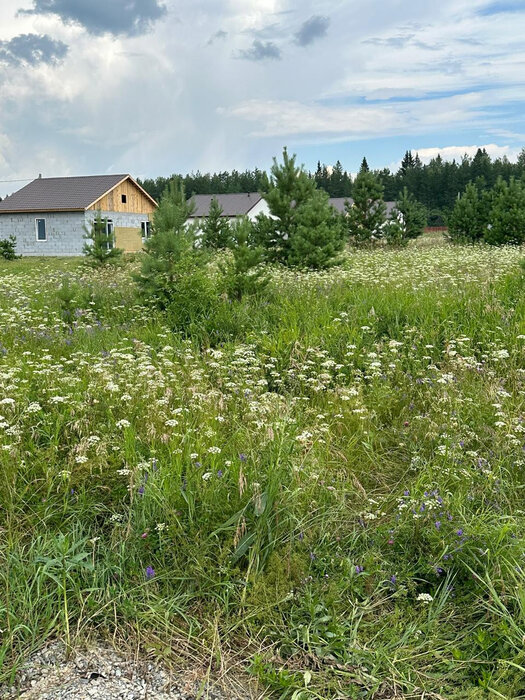 к.п. Ясная горка (городской округ Белоярский) - фото земельного участка (1)