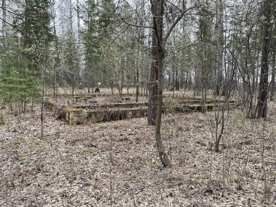 пгт. Верхнее Дуброво, ул. Аэрологическая, 1 (городской округ Верхнее Дуброво) - фото земельного участка (7)