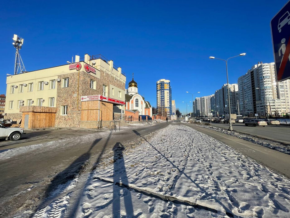 Екатеринбург, ул. Чкалова, 246 (УНЦ) - фото здания (3)