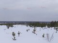 Продажа земельного участка: п. Становая, ул. Старателей (городской округ Березовский) - Фото 2