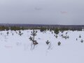 Продажа земельного участка: п. Становая, ул. Старателей (городской округ Березовский) - Фото 3