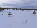Продажа земельного участка: п. Становая, ул. Старателей (городской округ Березовский) - Фото 6