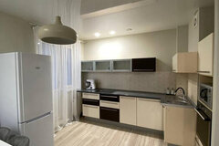 Екатеринбург, ул. Чкалова, 258 (УНЦ) - фото квартиры