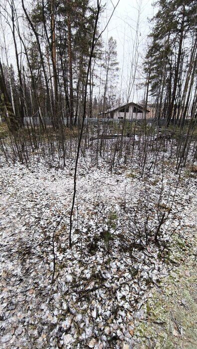  ГО Верхняя Пышма, ул. юго-восточное побережье оз.Шитовское - фото земельного участка (1)