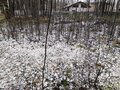 Продажа земельного участка:  ГО Верхняя Пышма, ул. юго-восточное побережье оз.Шитовское - Фото 1