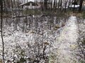 Продажа земельного участка:  ГО Верхняя Пышма, ул. юго-восточное побережье оз.Шитовское - Фото 3