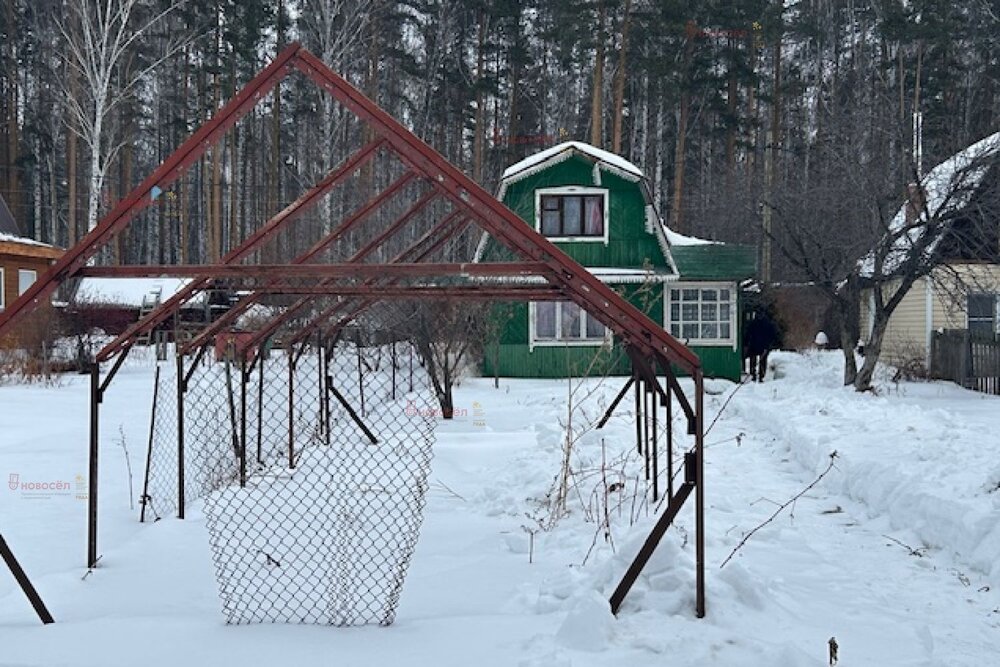г. Верхняя Пышма, СНТ Белоснежка, ул. уч.71 (городской округ Верхняя Пышма) - фото сада (2)