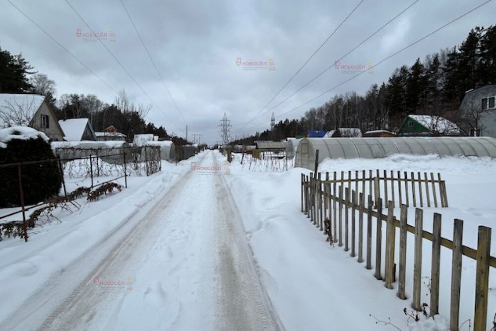 г. Верхняя Пышма, СНТ Белоснежка, ул. уч.71 (городской округ Верхняя Пышма) - фото сада (8)
