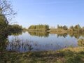 Аренда земельного участка коммерческого назначения: с. Мезенское, ул. Трактовая, 1 (городской округ Заречный) - Фото 4