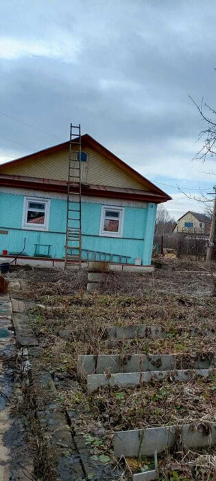 пгт. Верхнее Дуброво, р-н Белоярский, снт Озерный (городской округ Верхнее Дуброво) - фото сада (3)