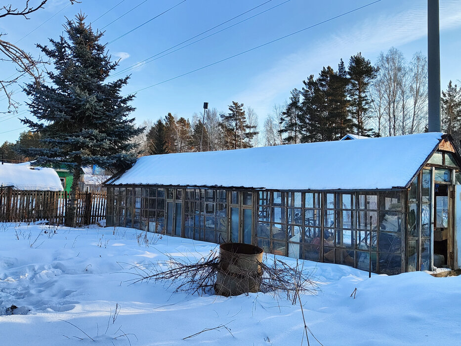 пгт. Верхнее Дуброво, р-н Белоярский, снт Озерный (городской округ Верхнее Дуброво) - фото сада (5)