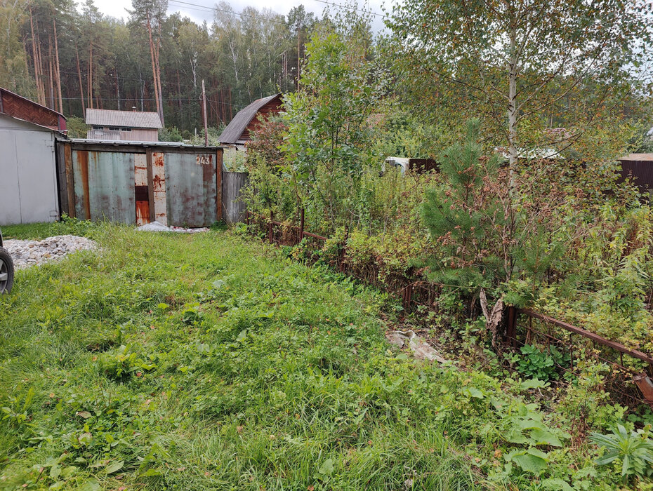 Екатеринбург, снт Луч-3 (Технопарк) - фото сада (2)