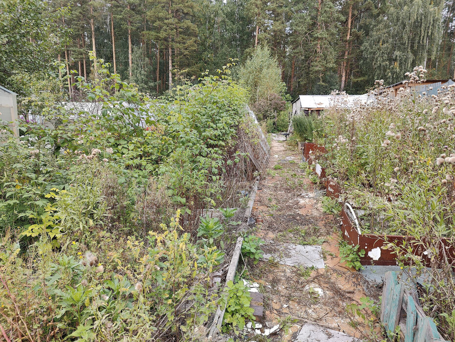 Екатеринбург, снт Луч-3 (Технопарк) - фото сада (4)