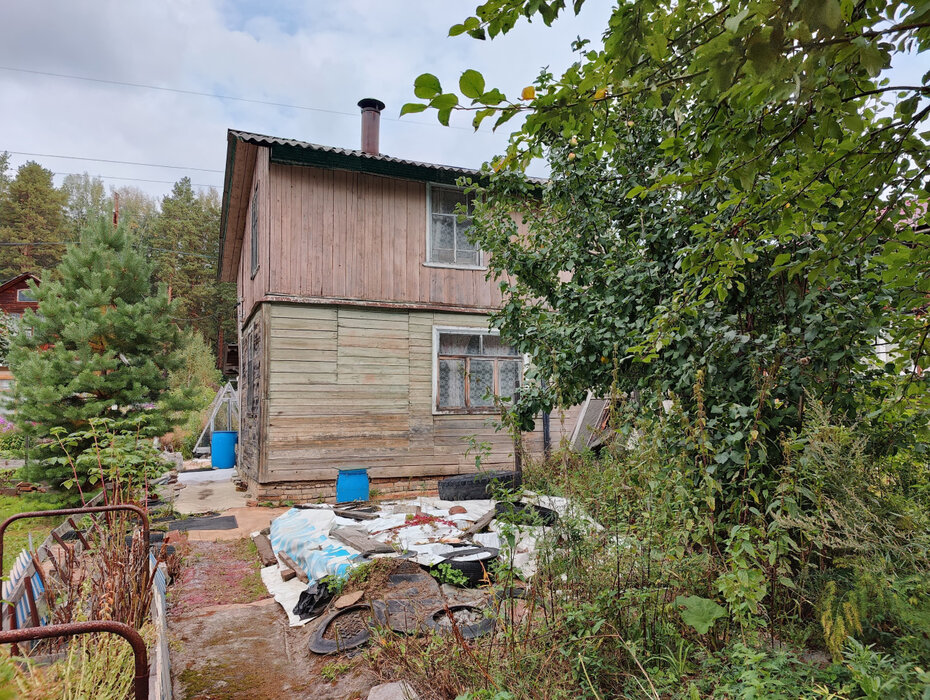 Екатеринбург, снт Луч-3 (Технопарк) - фото сада (5)