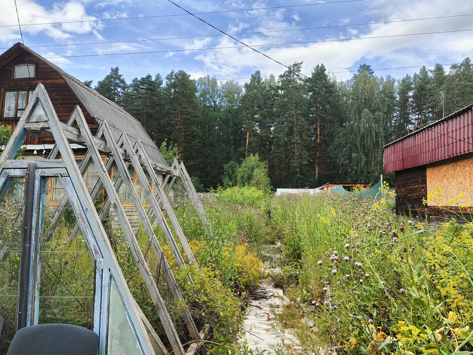 Екатеринбург, снт Луч-3 (Технопарк) - фото сада (8)
