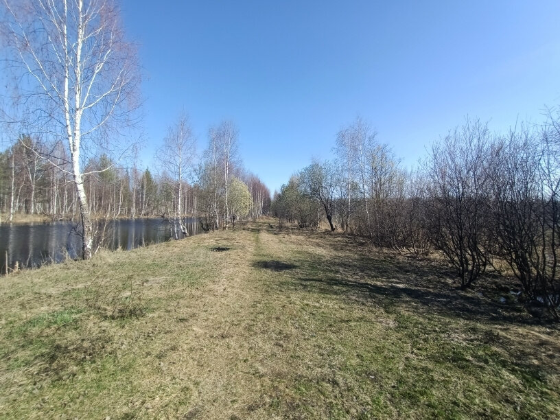 п. Ольховка (г.о. Пышма) (городской округ Верхняя Пышма) - фото земельного участка (4)