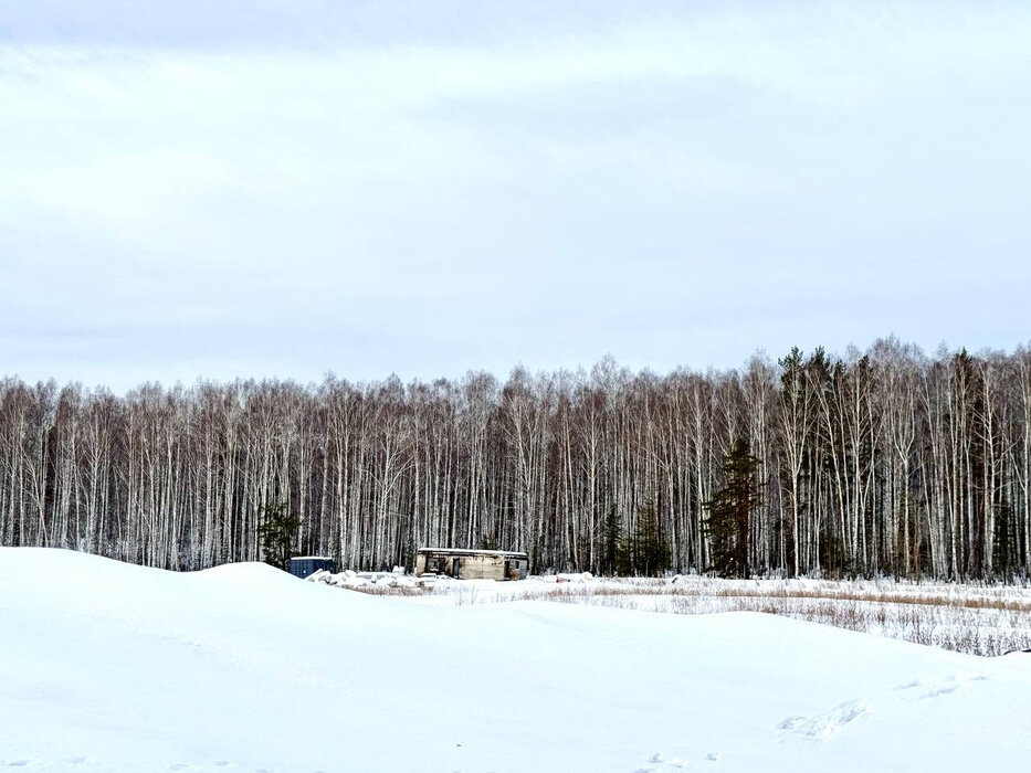 к.п. Семейные традиции (городской округ Первоуральск, п. Хрустальная) - фото земельного участка (4)