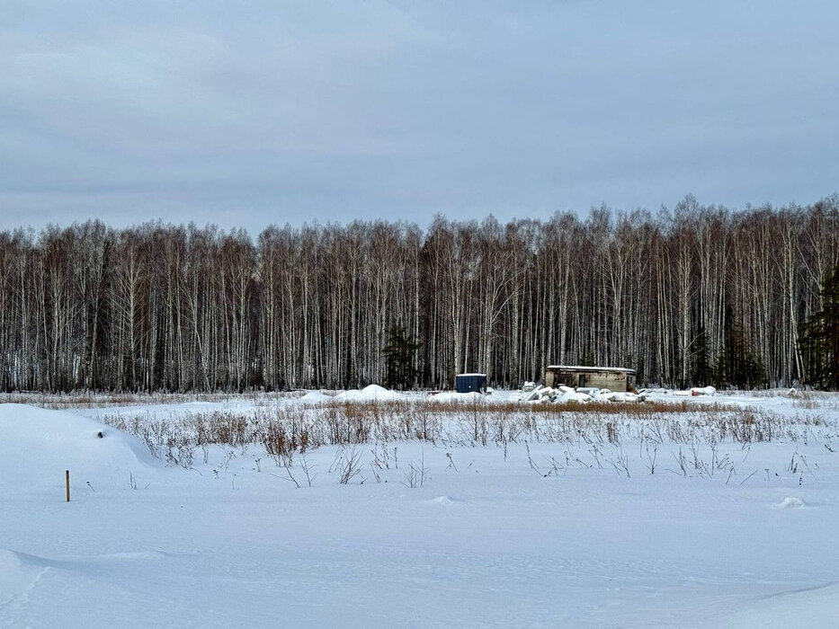 к.п. Семейные традиции (городской округ Первоуральск, п. Хрустальная) - фото земельного участка (5)