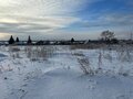Продажа земельного участка: с. Щелкун, ул. Ленина (городской округ Сысертский) - Фото 3