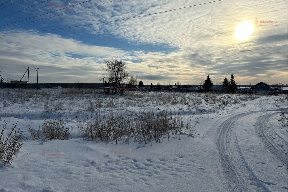 с. Щелкун, ул. Ленина (городской округ Сысертский) - фото земельного участка (4)