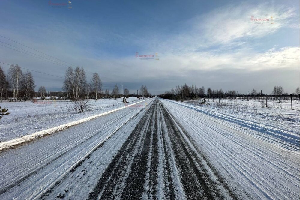 с. Абрамово, ул. Ленина, 20 (городской округ Сысертский) - фото земельного участка (2)