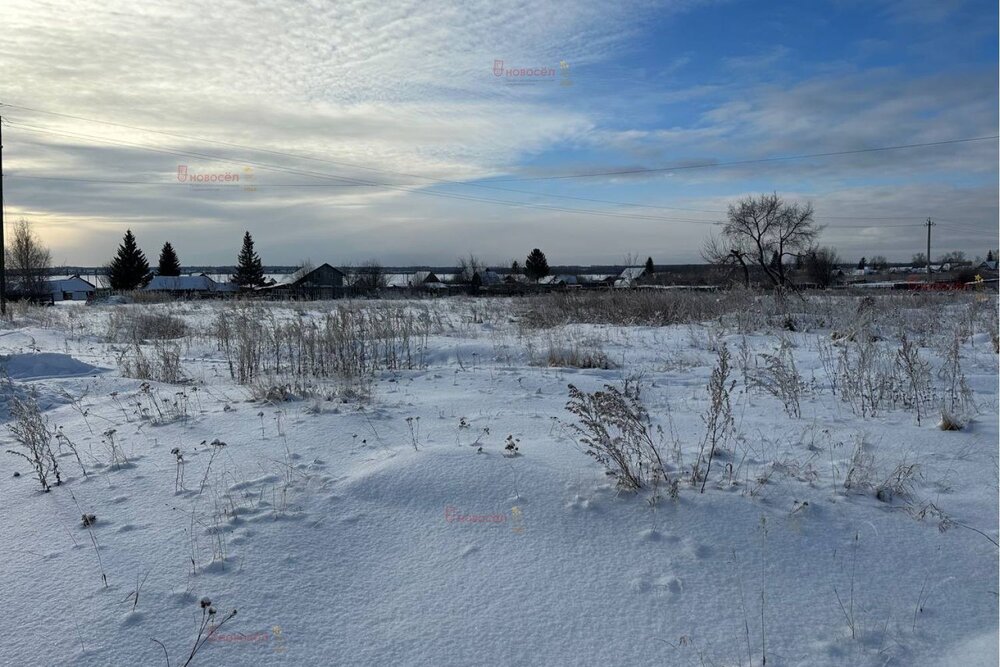 с. Абрамово, ул. Ленина, 20 (городской округ Сысертский) - фото земельного участка (4)