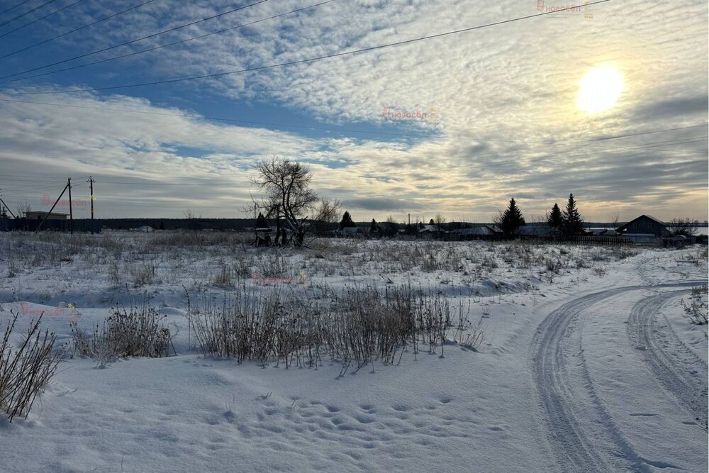 с. Абрамово, ул. Ленина, 20 (городской округ Сысертский) - фото земельного участка (5)