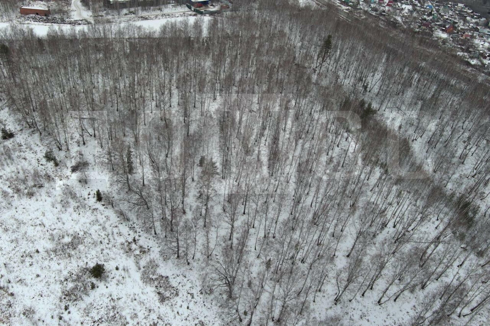 Екатеринбург (Исток) - фото земельного участка (2)