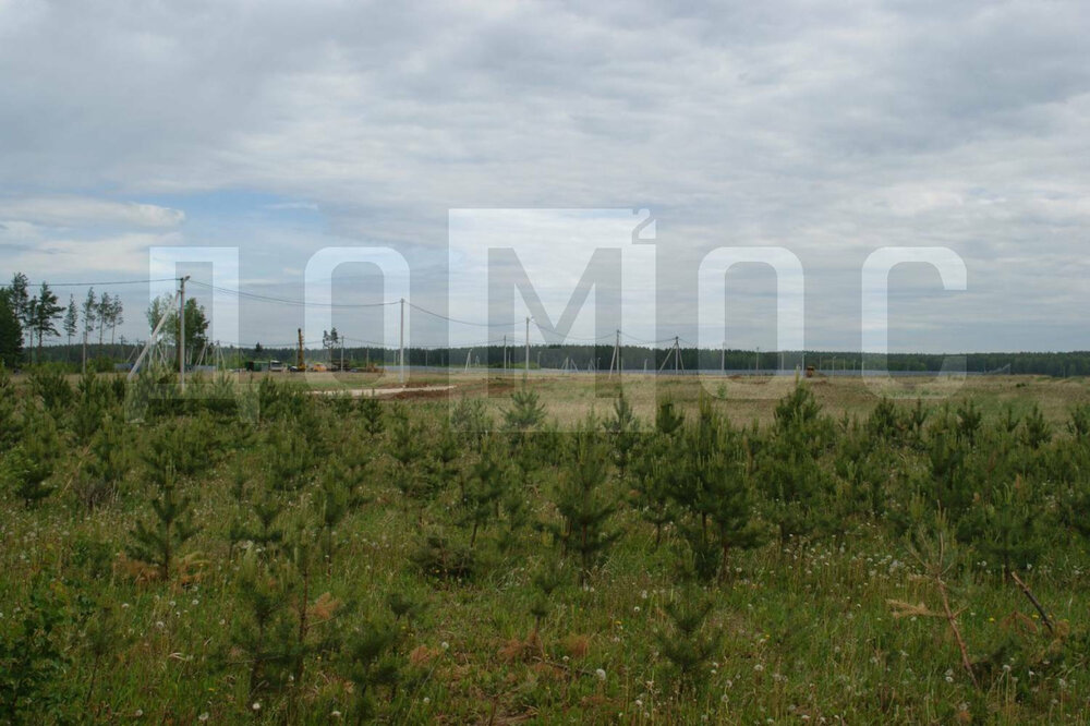 п. Колюткино (городской округ Белоярский) - фото земельного участка (1)