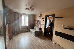 Екатеринбург, ул. Викулова, 46 (ВИЗ) - фото квартиры