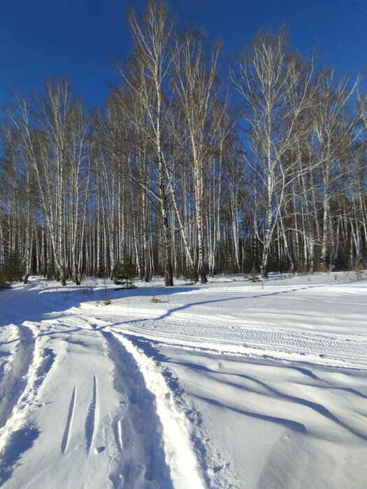 п. Изумруд, ул. Клубная, 35 (городской округ Малышевский) - фото земельного участка (4)
