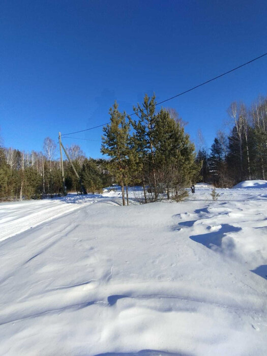 п. Изумруд, ул. Клубная, 35 (городской округ Малышевский) - фото земельного участка (6)