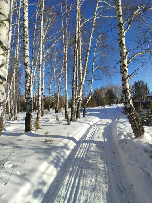 п. Изумруд, ул. Клубная, 35 (городской округ Малышевский) - фото земельного участка (7)