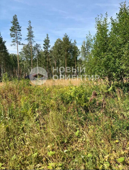 г. Дегтярск, г. Дегтярск, ул. Российская (городской округ Город Дегтярск) - фото земельного участка (1)