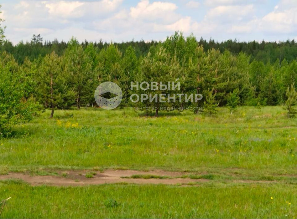 г. Дегтярск, г. Дегтярск, ул. Российская (городской округ Город Дегтярск) - фото земельного участка (5)