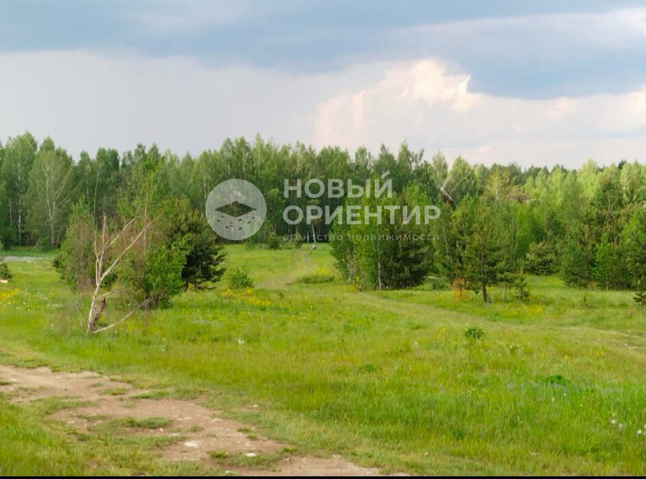 г. Дегтярск, г. Дегтярск, ул. Российская (городской округ Город Дегтярск) - фото земельного участка (7)