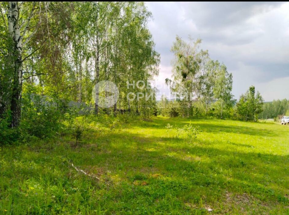 г. Дегтярск, г. Дегтярск, ул. Российская (городской округ Город Дегтярск) - фото земельного участка (8)