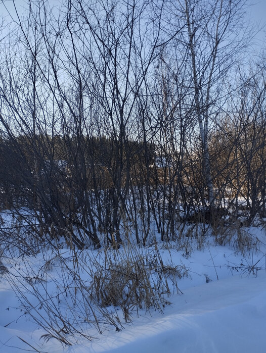п. Шабровский, СНТ 