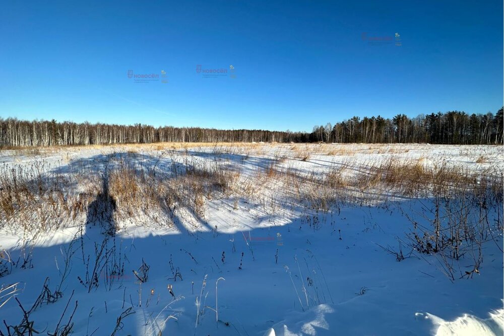 с. Курганово, ул. Нагорная (городской округ Полевской) - фото земельного участка (4)