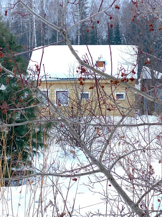 с. Тарасково, к/с Рябинушка, уч. 28 (городской округ Новоуральский) - фото сада (4)