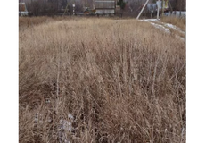 д. Ключи (г.о. Каменский), ул. Пролетарская, 20 (городской округ Каменский) - фото земельного участка