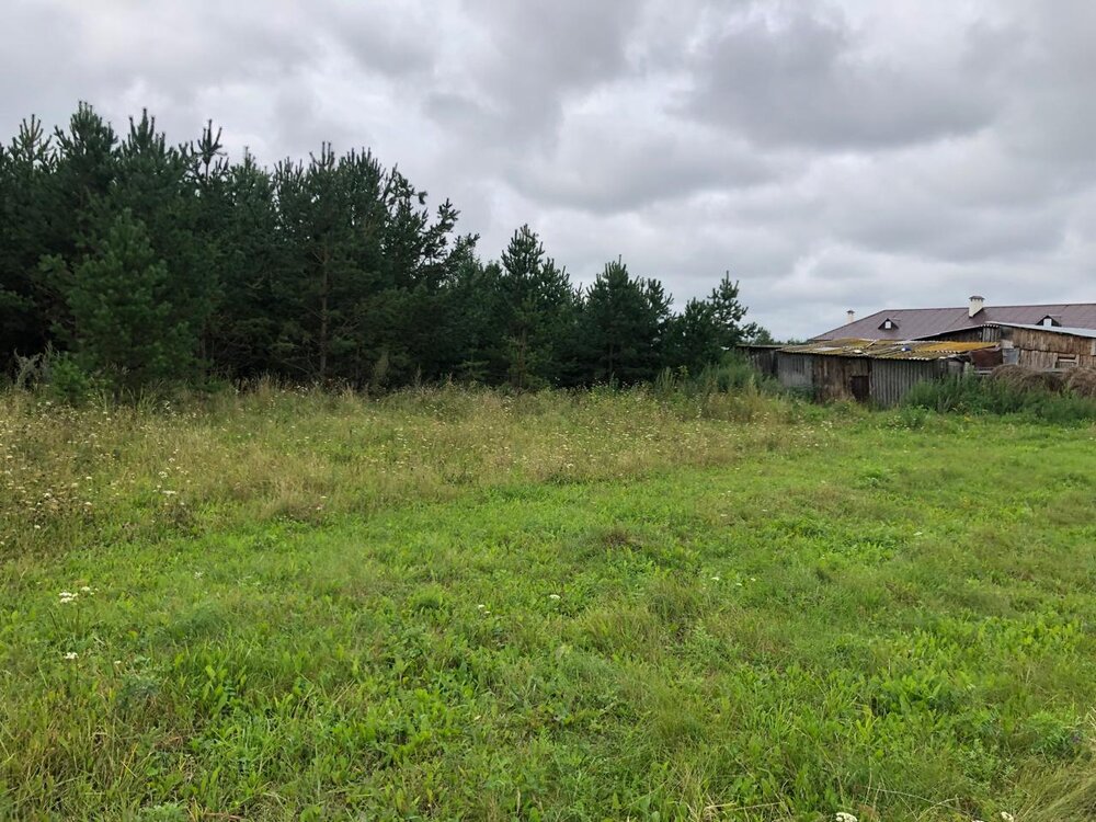 д. Курманка, ул. Садовая, 4 (городской округ Заречный) - фото земельного участка (2)