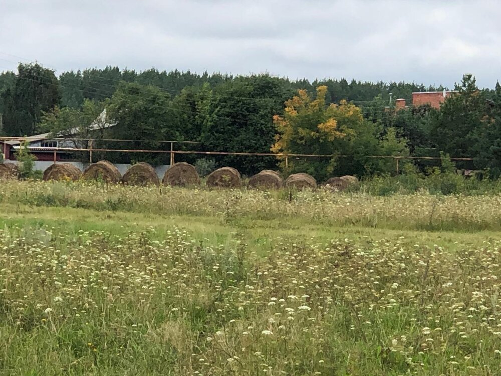 д. Курманка, ул. Садовая, 4 (городской округ Заречный) - фото земельного участка (7)