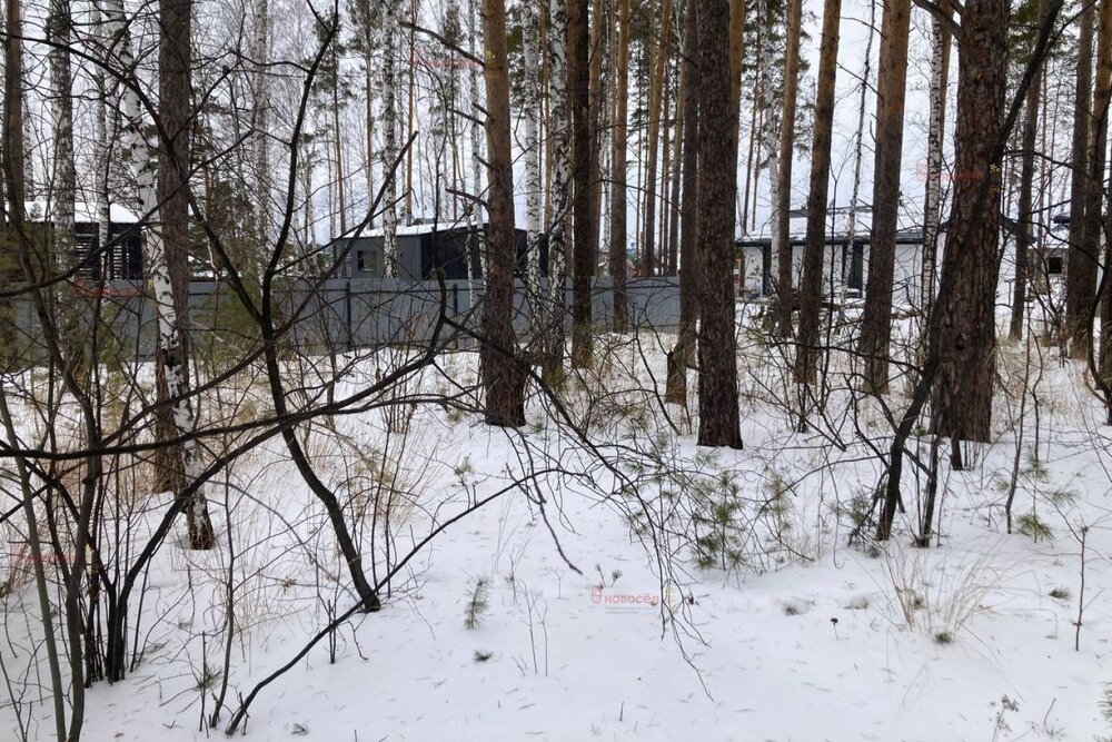 п. Первомайский (г.о. Сысертский), ул. Дальний, 1 (городской округ Сысертский) - фото земельного участка (2)