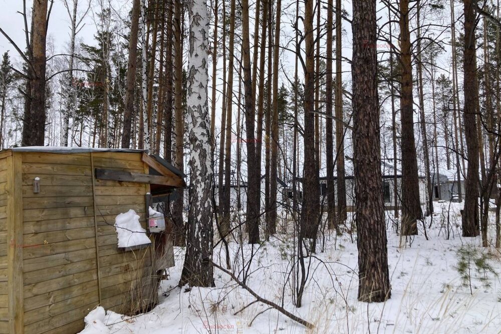 п. Первомайский (г.о. Сысертский), ул. Дальний, 1 (городской округ Сысертский) - фото земельного участка (3)