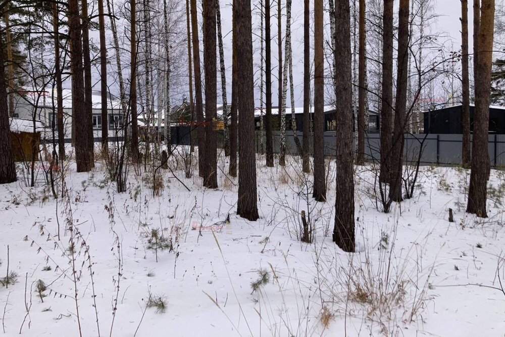п. Первомайский (г.о. Сысертский), ул. Дальний, 1 (городской округ Сысертский) - фото земельного участка (4)