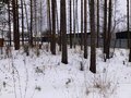 Продажа земельного участка: п. Первомайский (г.о. Сысертский), ул. Дальний, 1 (городской округ Сысертский) - Фото 4