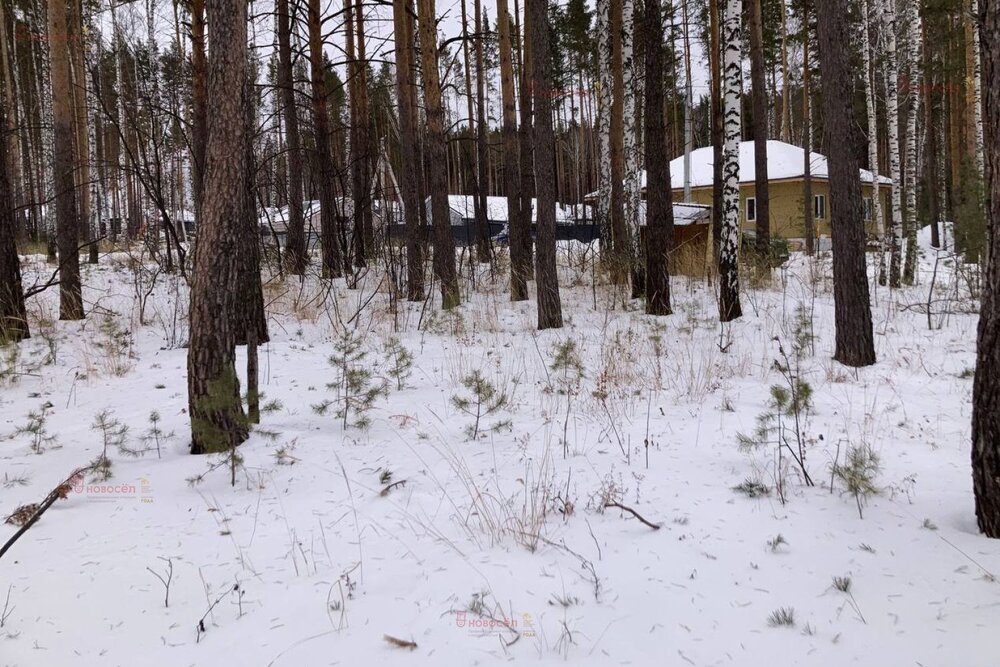 п. Первомайский (г.о. Сысертский), ул. Дальний, 1 (городской округ Сысертский) - фото земельного участка (5)