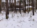 Продажа земельного участка: п. Первомайский (г.о. Сысертский), ул. Дальний, 1 (городской округ Сысертский) - Фото 5