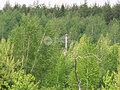 Продажа земельного участка: с. Кунгурка, ул. юго-восточная часть, участок, 15 (городской округ Ревда) - Фото 5